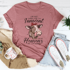 I Am Sweet Lovable Kind Shy Innocent Tee-2