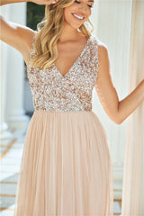 Valeria Blush Sequin V Neck Maxi DRess-3