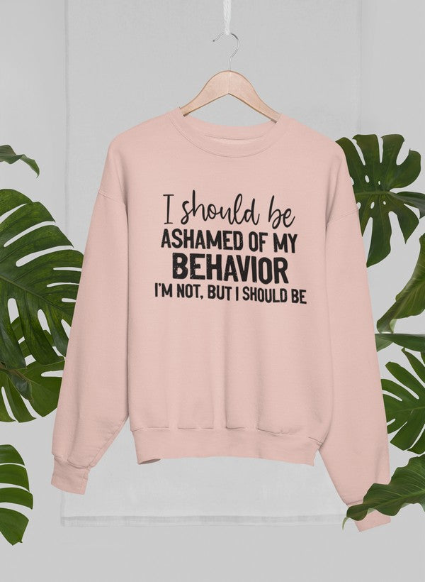 My Behavior Sweat Shirt-1