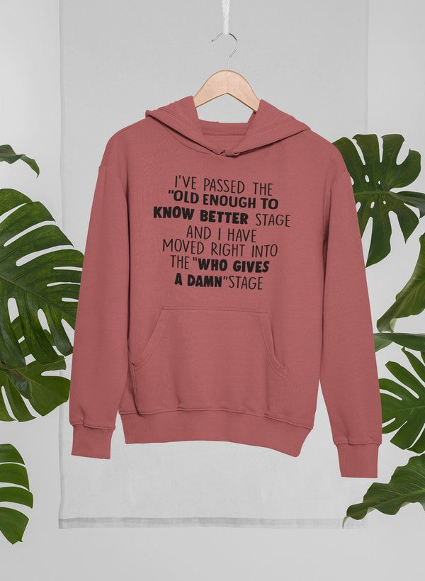 Old Enough To Know Better Hoodie-3