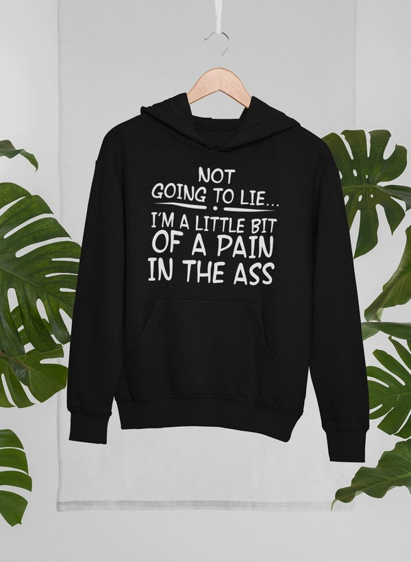 I'm Not Going To Lie Hoodie-0