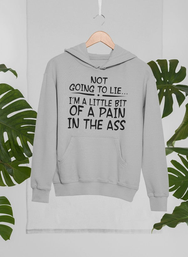 I'm Not Going To Lie Hoodie-1