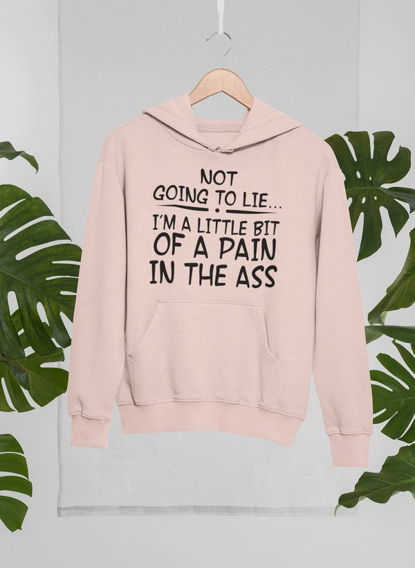I'm Not Going To Lie Hoodie-2